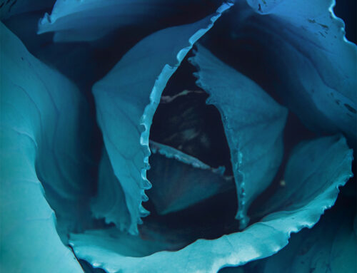 Strange things that make you “WOW”